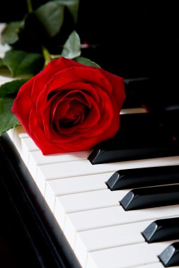 iStock_000004460545XLarge